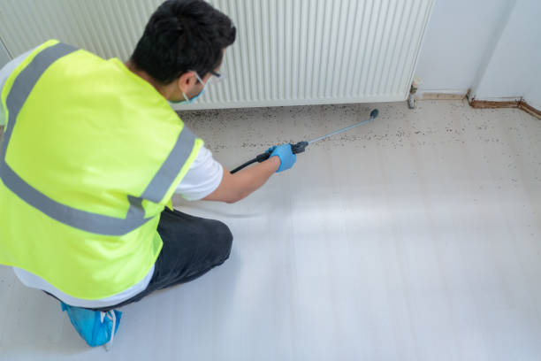 Best Fumigation Services  in Vinco, PA